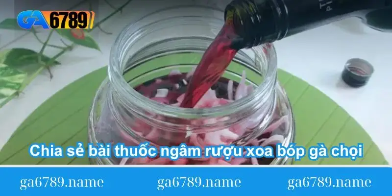 chia se bai thuoc ngam ruou xoa bop ga choi ga da chia se bai thuoc ngam ruou xoa bop ga choi ga da