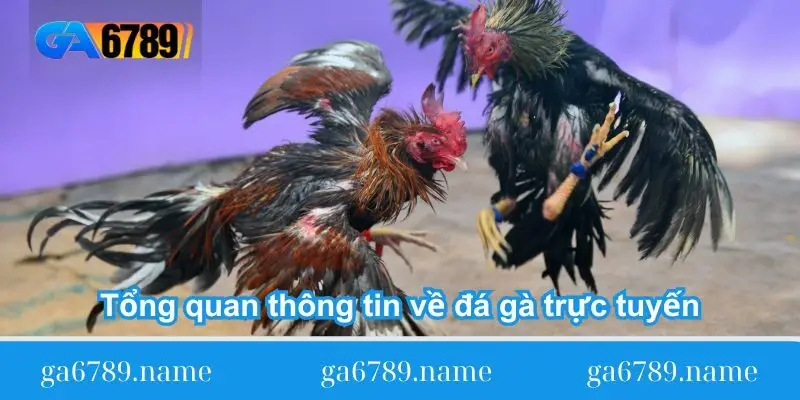 tong quan thong tin ve da ga truc tuyen tong quan thong tin ve da ga truc tuyen